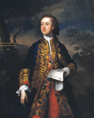 James Latham Portrait of Sir Capel Molyneux France oil painting art